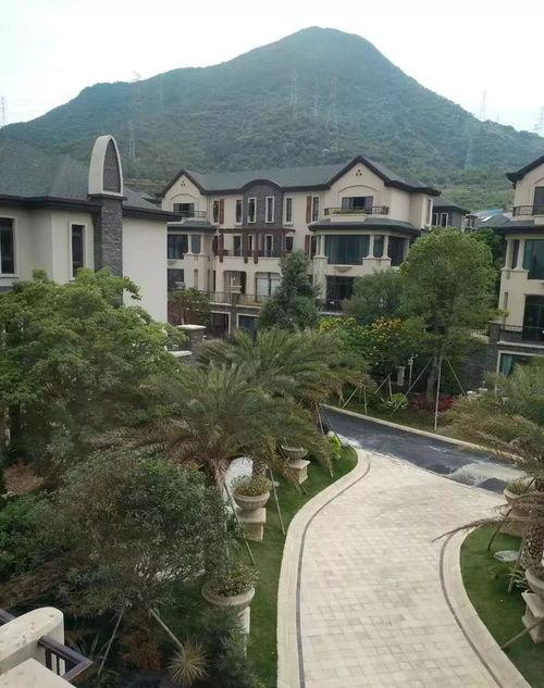 718娱乐吃瓜最新地址,独家爆料等你来探